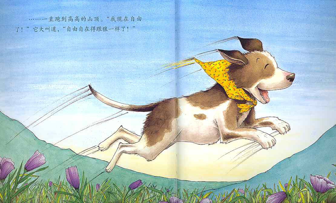 像狼一样嚎叫 (06),绘本,绘本故事,绘本阅读,故事书,童书,图画书,课外阅读
